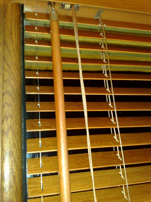 Detail bambusovej